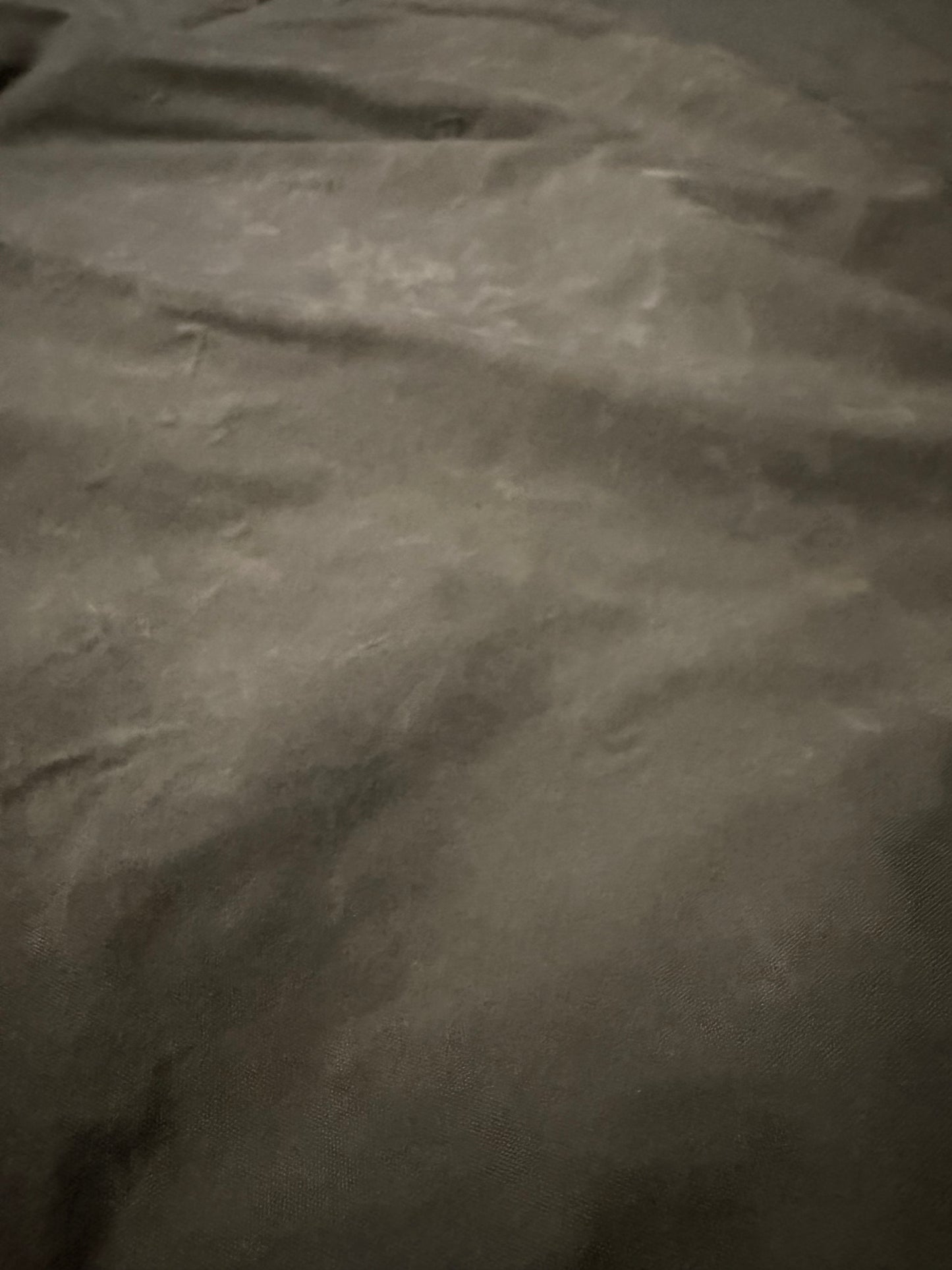 German GORE-TEX® OD Bivy Bag (issued)